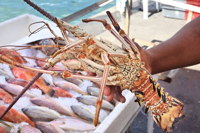 Cooking Class - Grilled Lobster & Fish With Lunch Included - Grilled Lobster and Fish