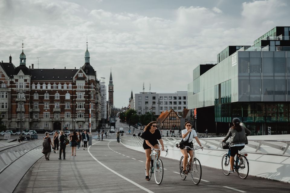 Copenhagen: Harbor Architecture Private Walking Tour - Waterfront Exploration