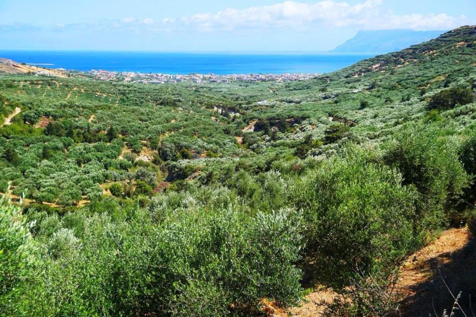 Crete Olive Oil Tasting ,Wine, Raki, and Cretan Food! - Spirits and Wine Tasting