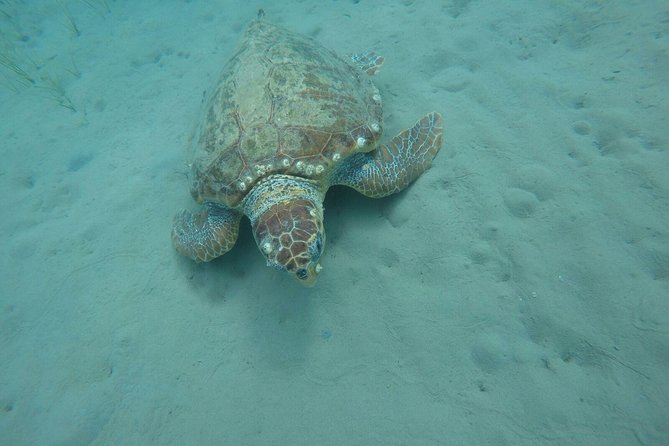 Cruise to Turtles Island and Caves With a Glass Bottom Boat - Booking Process