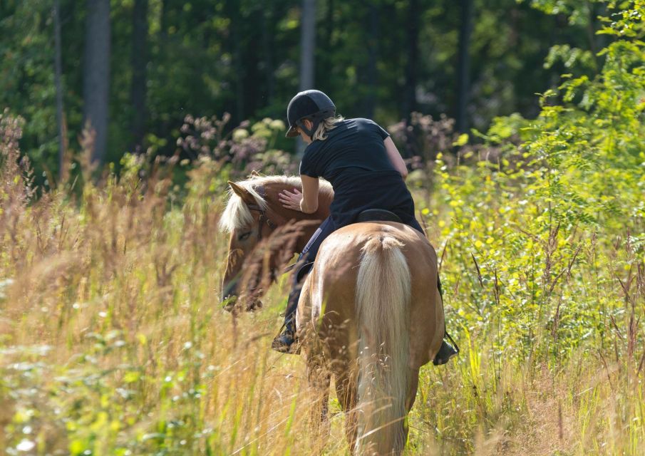 Cruseilles: Horseback Riding in the Countryside - Customer Feedback