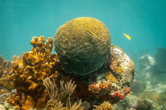 Culebra Snorkeling Tour by Catamaran From Fajardo - Beach Visits