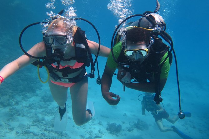 Daily 2 Dives With Equipment From Hurghada - Medical Restrictions