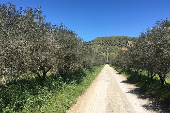 Daily Biking in the Rural Sicily - Tour Schedule and Availability