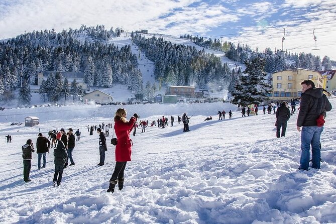 Daily Bursa Uludag Mountain & Cable Car Tour With Lunch From Istanbul - Reviews