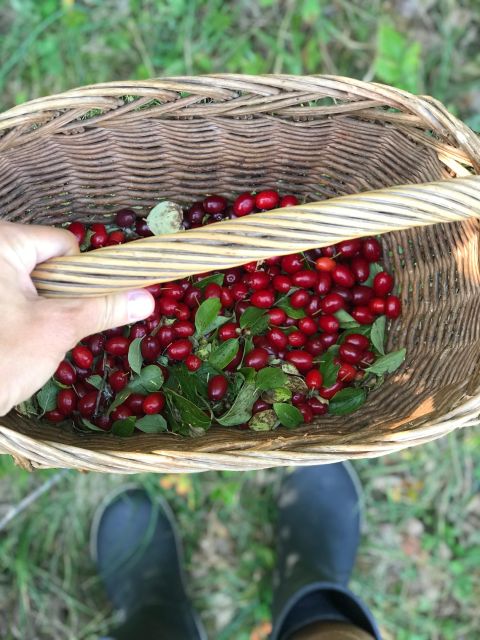 Daily Visit to a Family Farm in Donji Lapac, Lika - Booking and Flexibility