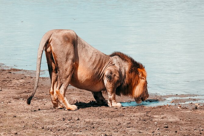 Day Safari Tour Selous Game Reserve - Selous Game Reserve