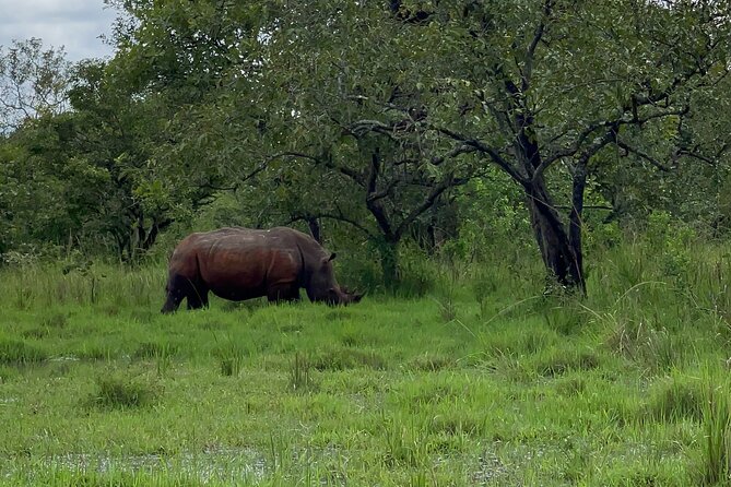 Day Tour Of Ziwa Rhino Sanctuary and Wildlife Ranch - ZIWA RHINO TREKKING - Nearby Attractions