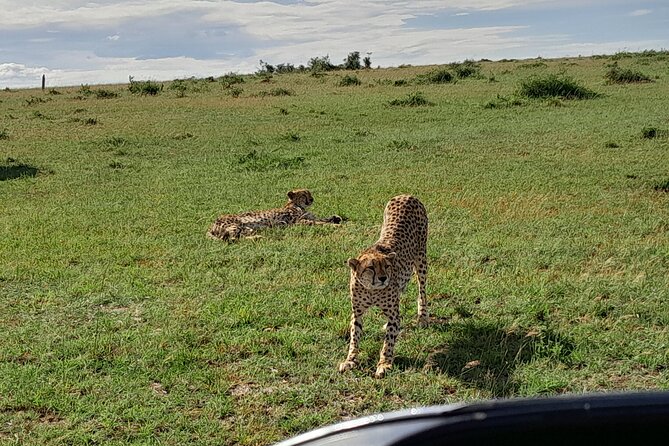 Day Tour To Amboseli National Park From Nairobi - Explore Amboseli National Park