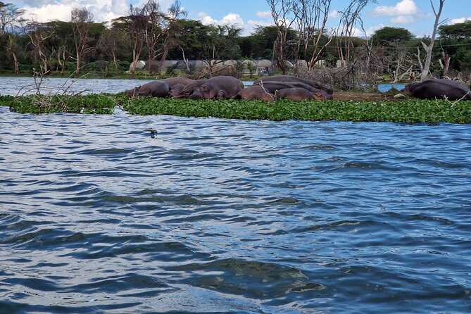 Day Tour To Hells Gate National Park and Optional Boat Ride on Lake Naivasha. - Accessibility and Fitness Level