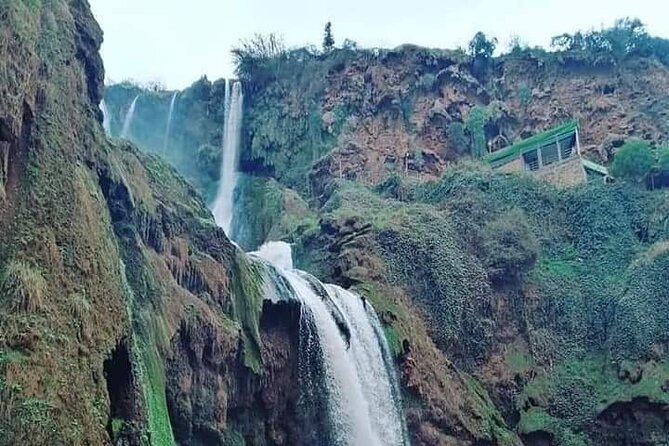 Day Trip to Ouzoud Waterfalls From Marrakech - Customer Feedback and Ratings