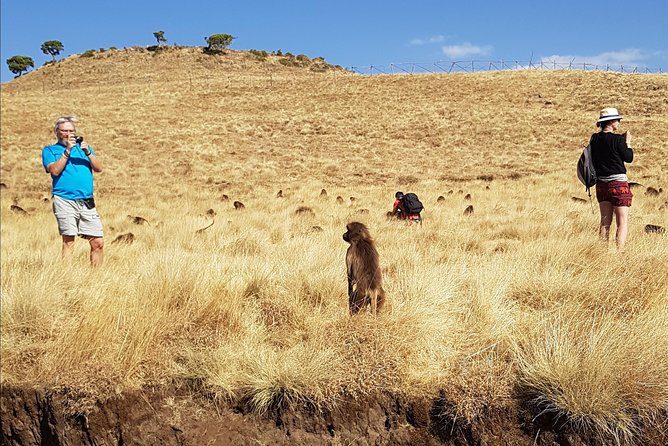 Debre Libanos Monastery and Jemma River Gorge - Day Tour From Addis Ababa - Scenic Mountain Views