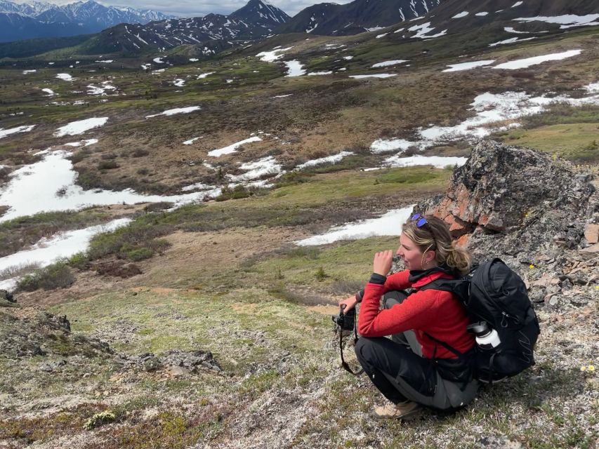 Denali: Denali National Park Walking Tour - Restrictions and Requirements