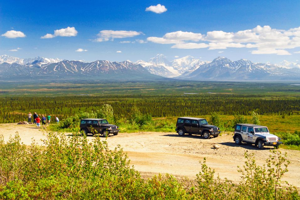 Denali: Highway Jeep Excursion - Restrictions