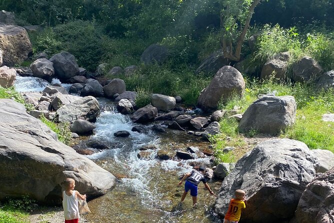 Desert Agafay and Atlas Mountains Day Tour & Camel Ride From Marrakech - Berber Village Visits