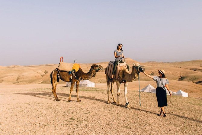 Desert Agfay Day Trip From Marrakech And Atlas Mountains & Camel Safari - Camel Ride Experience