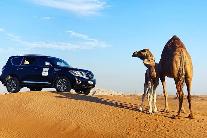 Desert Safari With BBQ Dinner, Quad Bike & Camel Ride From Dubai - Dining and Cuisine