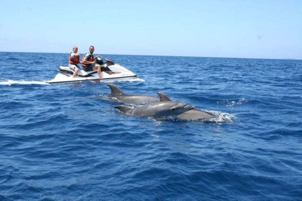 Destin: Crab Island Dolphin Watching Jet Ski Tour - Thrilling Adventure Details