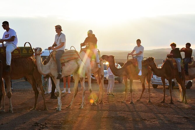 Dinner and Camel Ride in the Marrakech Agafay Desert - Camel Ride Adventure