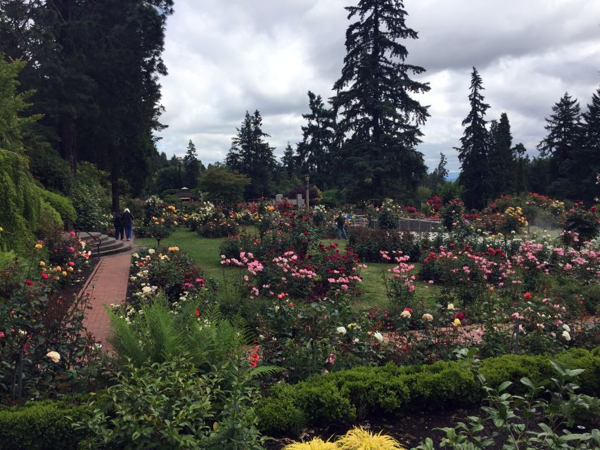 Discover Portland: Half-Day Small Group City Tour - Customer Reviews and Ratings