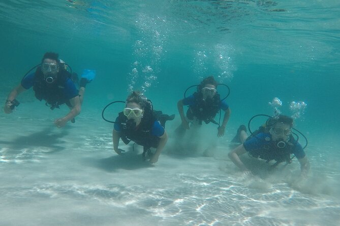 Discover Scuba Diving - Private Transportation Arrangements