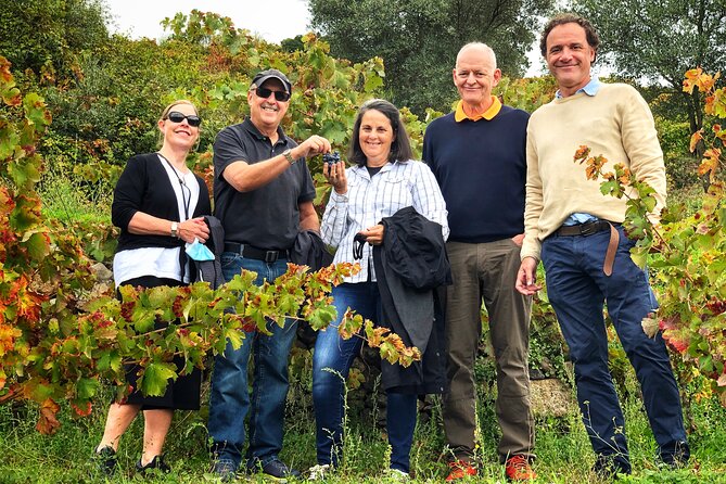 Discover the Unique Wine and Villages of the Sierra De Salamanca - Immersion in Viticulture and Ancient Grapes