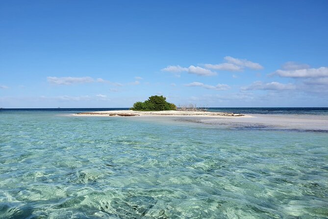 Discovery by Boat of the Mangrove and Its Lagoon in 7 Stages Including 4 Swimming - Activity Duration and Capacity