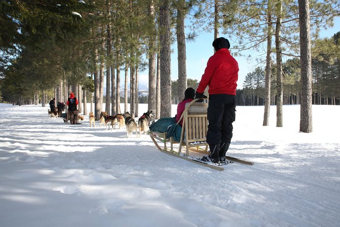 Dogsled Adventure in Mont-Tremblant - Important Traveler Information