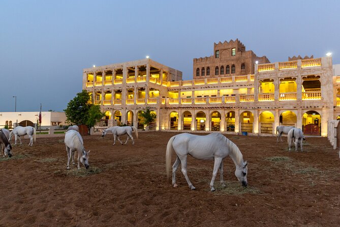 Doha City Highlights Guided Tour With Dhow Cruise - Discover Dohas Highlights