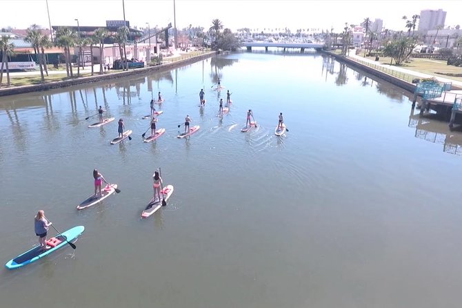 Dolphin and Manatee Stand Up Paddleboard Tour in Daytona Beach - Paddleboard and Safety