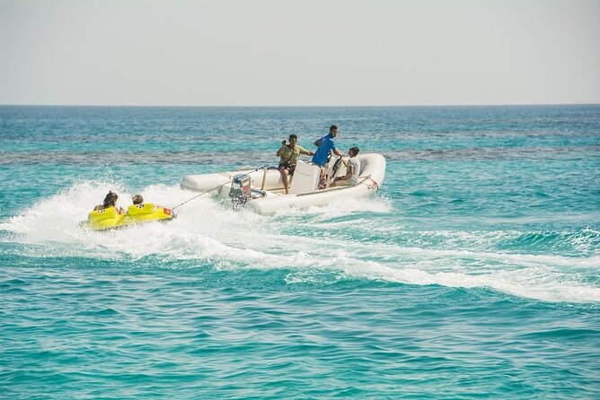 Dolphin House Sea Trip - Hurghada - Lowest Price Guarantee