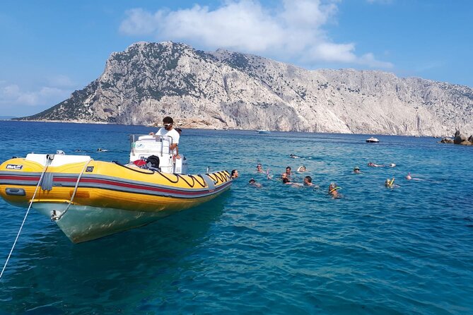 Dolphin Watching and Snorkeling in Figarolo in Sardinia - Group Size and Age Limits