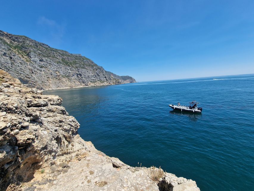 Dolphin Watching: Sesimbra / Arrábida Natural Park - Important Information