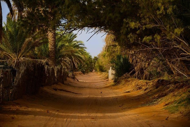 Door of the Tunisian Desert Ksar Ghilane and Matmata: Full One Day - Visiting Berber Villages