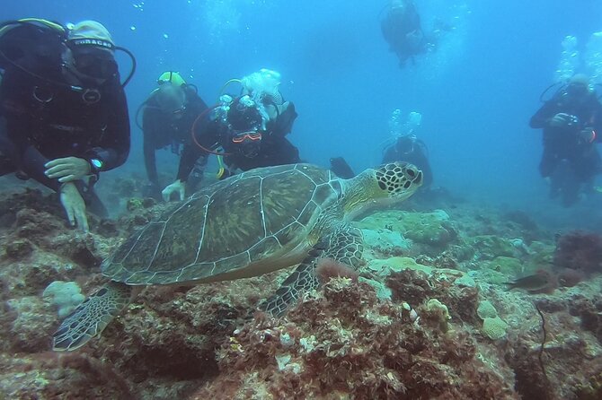 Double Diving in Sal Island - Half Day - Dive Equipment Provided