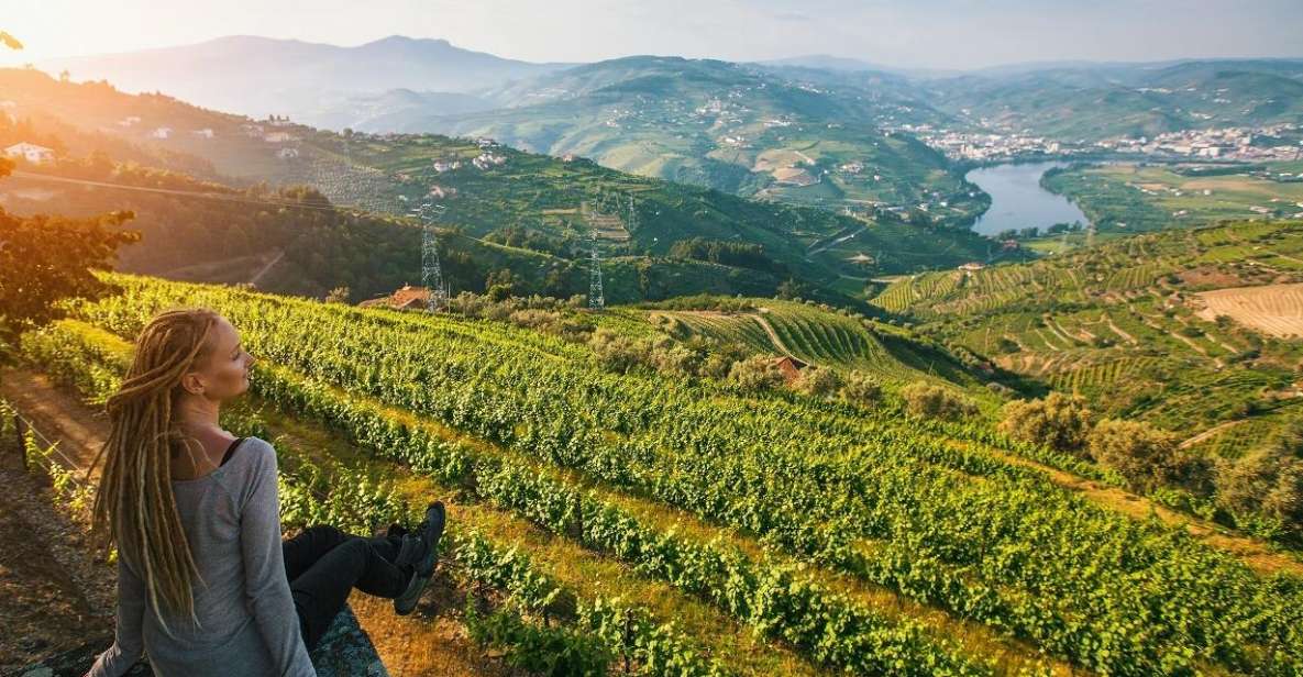 Douro Valley: Full-Day Private Wine Tour With Lunch - Scenic Landscape Views