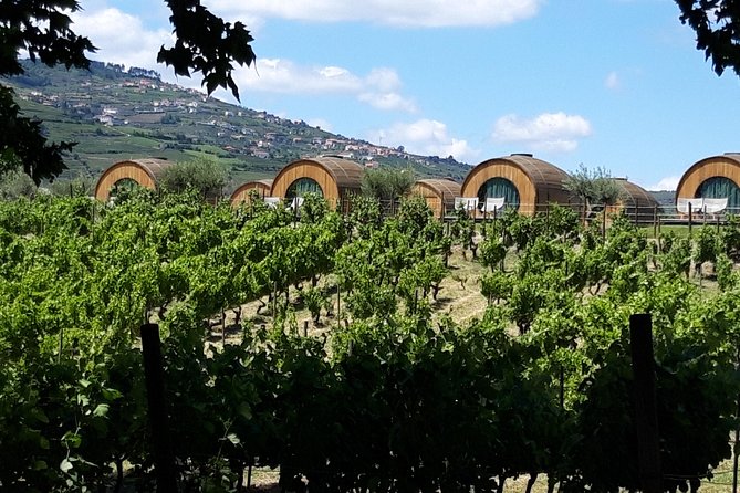 Douro Valley Private Premium Tour With Wine Tasting (1 to 4 People) - Sightseeing and Tastings