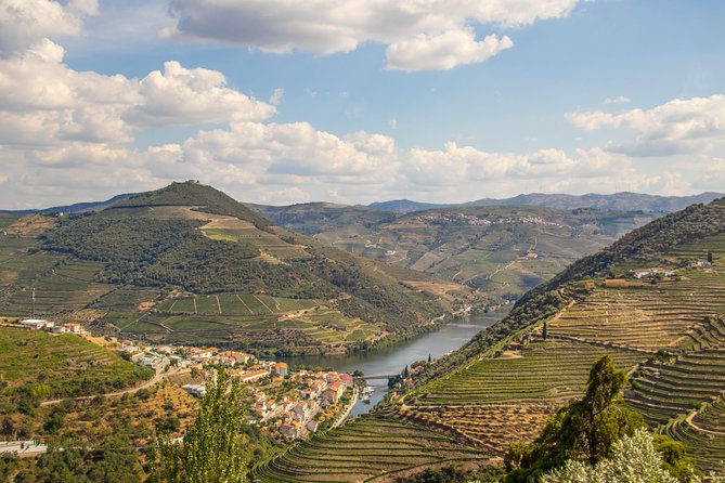 Douro Valley: Private Tour With Lunch and Wine Estate All Inclusive - Wine Tasting Experience