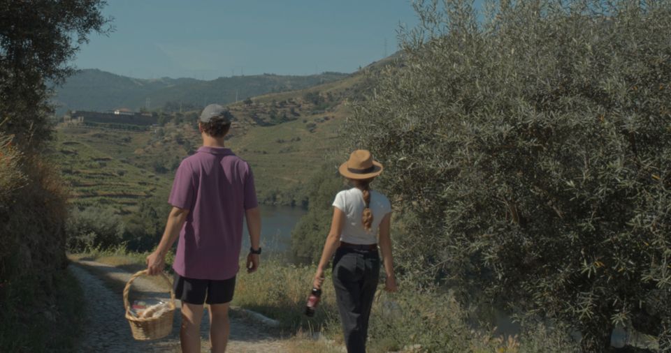 Douro Valley: Quinta Do Tedo Wine Experience With Picnic - Child Policy