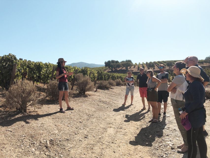 Douro Valley: Small-Group Wine Tasting Tour, Lunch & Boat - Highlights of the Douro Valley