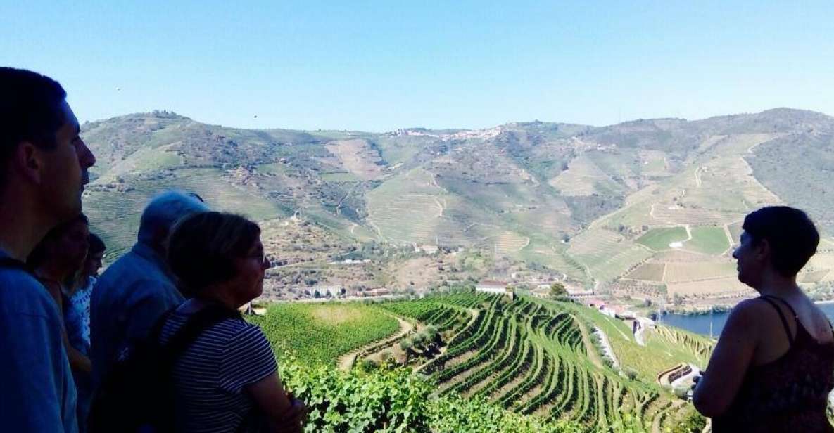 Douro Valley Vineyards Full-Day Tour From Porto - Tour Availability