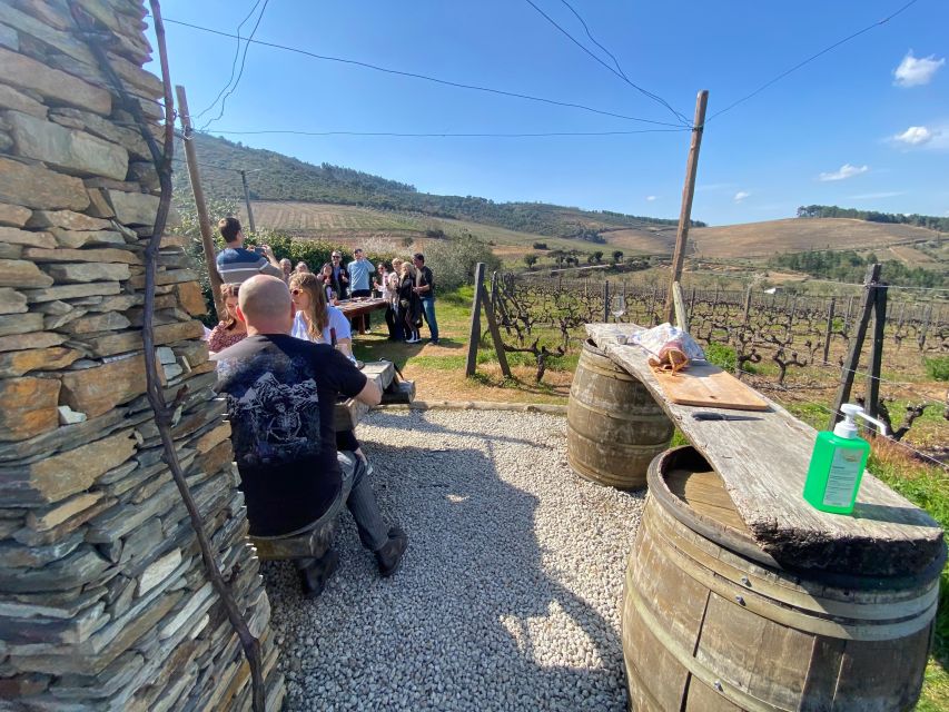 DOURO VALLEY W/ 2 Boutique Wineries, Lunch and 1h Boat Tour - Discovering Provesende