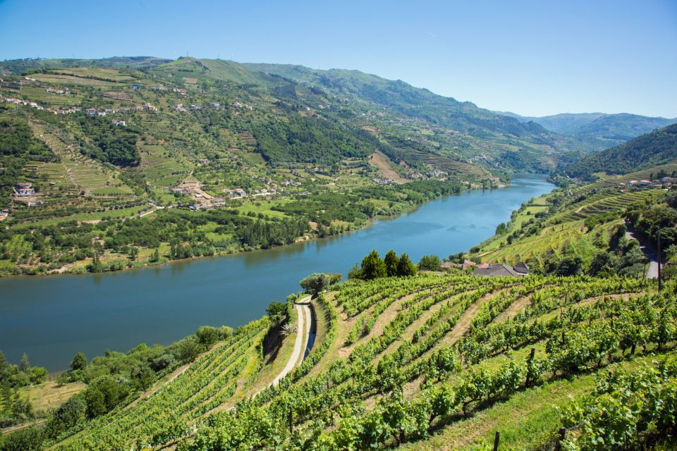 Douro Valley Wine Tasting From Porto - Lunch at Local Restaurant