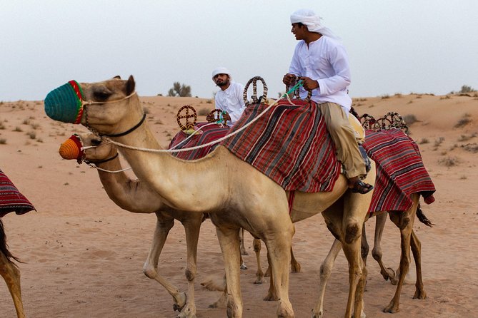 Dubai Camel Desert Safari, Traditional Meal & Heritage Activities - Emirati Dining Experience