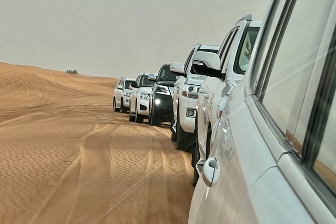 Dubai Desert Safari With Camel Ride, Sand Surf, & BBQ Dinner - Cancellation and Refund Policy