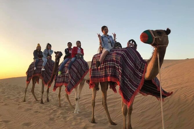 Dubai Desert Safari With Dune Bashing , Dinner Buffet & Entertainments - Camel Riding and Shisha