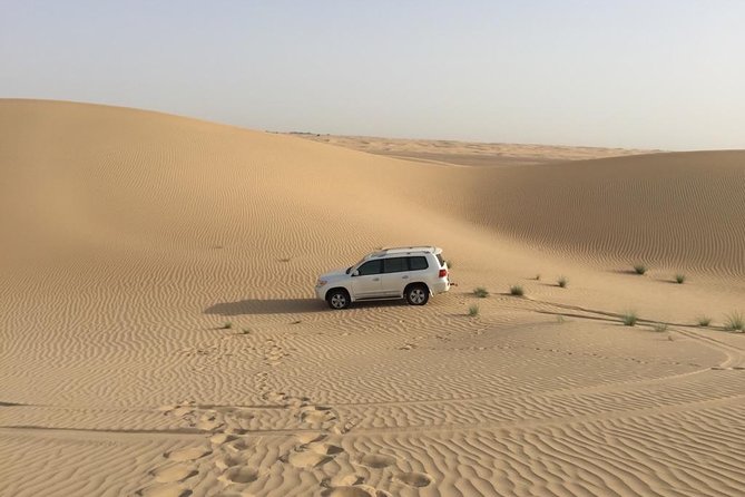 Dubai Kids Friendly Morning Safari - Private Car - Traveler Reviews