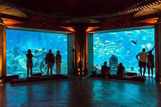 Dubai Mall Aquarium & Underwater Zoo - Inclusions and Highlights