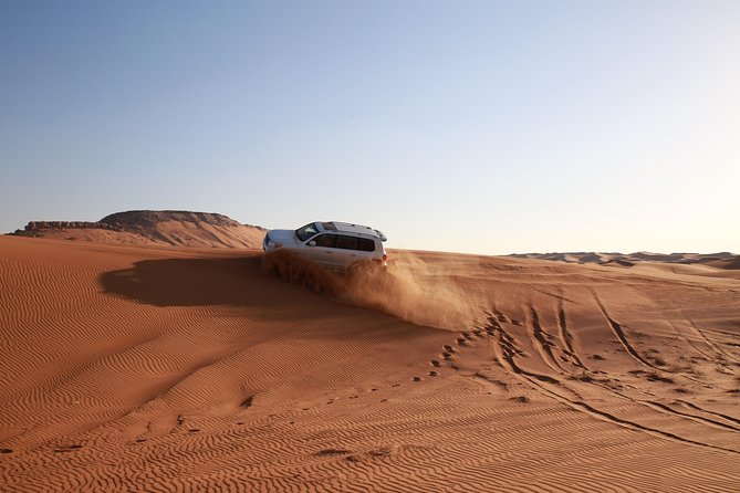 Dubai Red Dune Desert Safari, Camels, Sandboarding & BBQ Options - Additional Activities