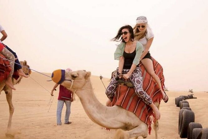 Dubai Royal Camel Race With Prime Seats & Short Camel Ride - Carriage Ride and Camel Feeding